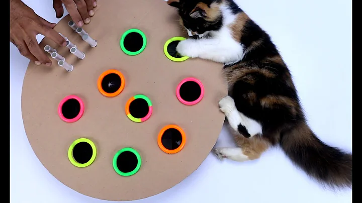 Whack A Mole Game   DIY Cat Toy From Cardboard