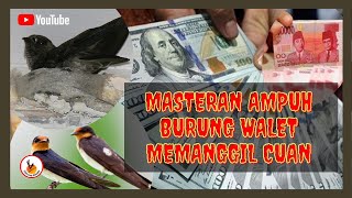 MASTERAN BURUNG PENGHASIL UANG BISA JADI KAYA RAYA / MASTERAN AMPUH BURUNG WALET MEMANGGIL CUAN