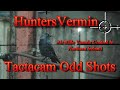 Air Rifle Hunting, Tactacam Odd Shots