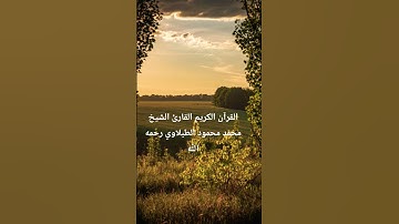 القرآن الكريم #اكسبلور #المصحف #تلاوات_رائعة #