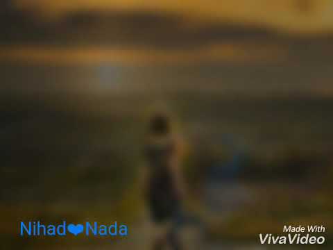 الدنيا ريشة ف هوا