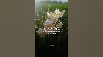 والعصر إن الإنسان لفي خسر... #سورة_العصر #ريحانة_قرآن #قرآن #تلاوات #quran #تلاوة_خاشعة