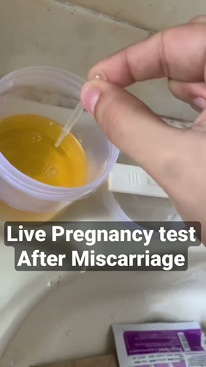 Live pregnancy test after miscarriage. Can you see second line ?