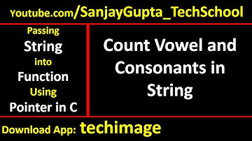 Count vowel and consonants in string by passing string into function using pointer in c programming