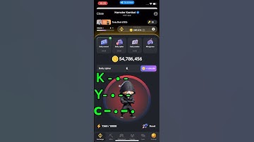 8 September hamster 🐹 kambot daily cipher code