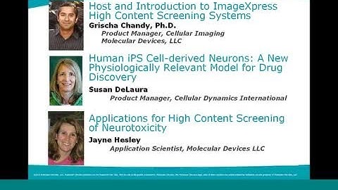 Using Stem Cell-Derived Neurons in High Content Screening Assays for Drug Toxicity