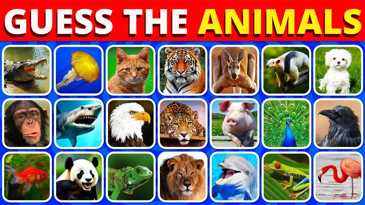 Guess The Animal By Video | Animal Guess Trivia | East to Hard