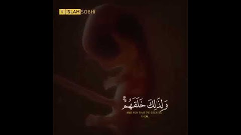 وما كَانَ رَبُّكَ ليهلك القرى بظلم وأهلها مصلحون - القارئ اسلام صبحي تلاوة خاشعة