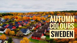 Fall colours in Sweden | Autumn Foliage With Calm Music | Sweden