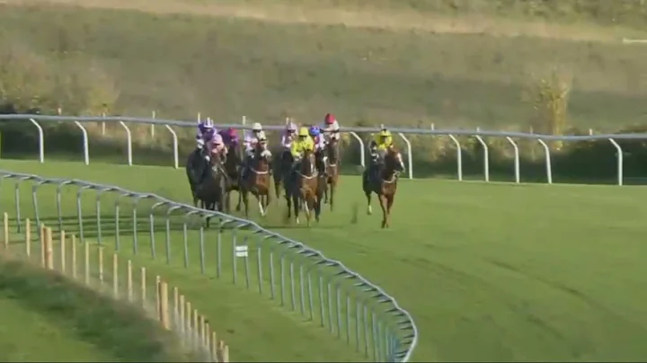 Horse Racing Death 125 - Death of Haynes at Bright...