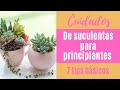 👩🏼‍🌾 Cómo cuidar tus suculentas; 7 tips básicos PARA PRINCIPIANTES