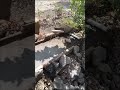 10k views Mini road complete final look