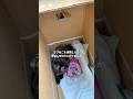 さびねこを保護したら年収2,000万になりました #shorts