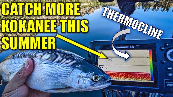 Land More Kokanee!!! [Top 5 Kokanee Hooks] 