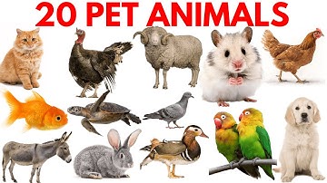20 पालतू जानवरों के नाम |Pets Names with Picture and Sound for Kids |Fun Learning Video| पालतू जानवर