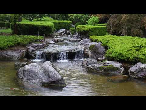 【自然音】庭池に降る雨 2時間 4K 癒し ASMR 1/fゆらぎ