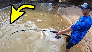 When CATFISHING turns DANGEROUS!! (MONSTER CREATURE)