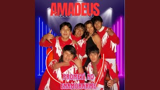 Video thumbnail of "Internacional Amadeus - Prometí no Enamorarme"