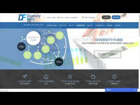 Diversity Fund Overview – How Profits Are Generated