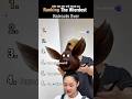 Ranking The Weirdest Haircuts Ever #shorts #viralshorts