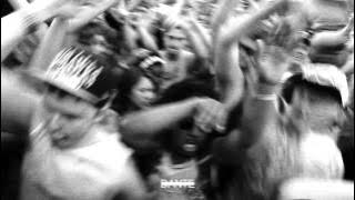 the young wild and reckless