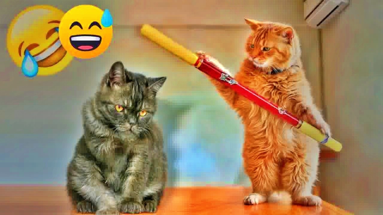 You Laugh You Lose😪🐶Funniest Dogs and Cats 2026😁