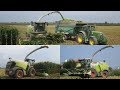 2019 Large Corn Silage - Claas Jaguar 970 & 2x 980