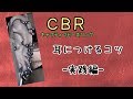 【実写】ボディピアス CBR 装着 実践編