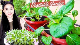 Lockdown VLOG- Lets cook, make desserts, do-gardening-Update of my Vegetable garden