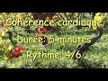 Cohrence cardiaque cardiac coherence  vignes automnales  rythme 46