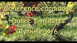 Cohérence cardiaque (cardiac coherence) - vignes automnales - rythme 4/6