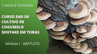 Prefeitura promoverá curso de cultivo de cogumelo Shitake - Itapecerica da  Serra