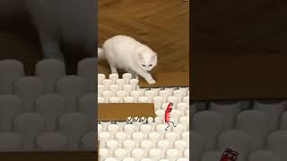 Cat very easy to solve puzzles Game #viral #cat #gaming #like #subscribe #shorts #funny screenshot 2