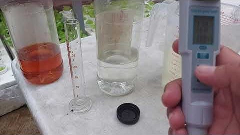 CFF NUTRIHYDRO  timplahin as working solution for my lettuce ,No More Ph down needed on my mix