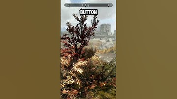 This Whirlwind Sprint Exploit Breaks Movement in Skyrim