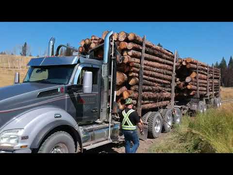 LOADER ASSIST PROCEDURE