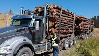 LOADER ASSIST PROCEDURE