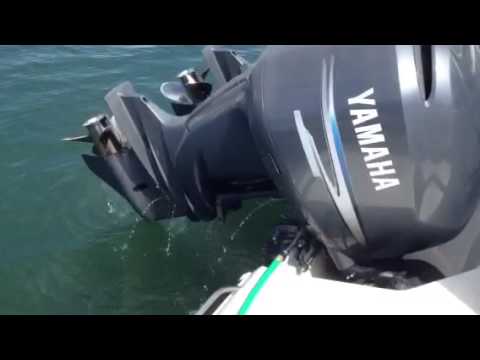 anaheim hilton Yamaha 225 Flush with Fresh Water in Slip on Striper 2901