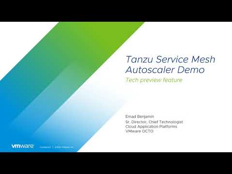 Tanzu Service Mesh Autoscaler Feature Demo