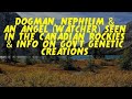 Dogman nephilim  an angel watcher seen in the canadian rockies  govt genetic creations