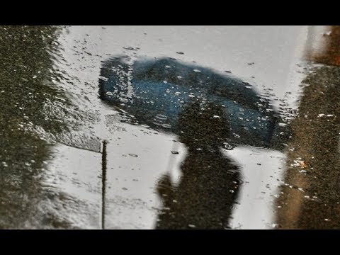 НАРОДНЫЕ ПРИМЕТЫ НА 22 ИЮЛЯ – КИРИЛЛ И ПАНКРАТИЙ. ЧЕРНИЧНЫЙ ДЕНЬ