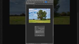 How to Cut Out a Tree in Photoshop – Easy Trick!