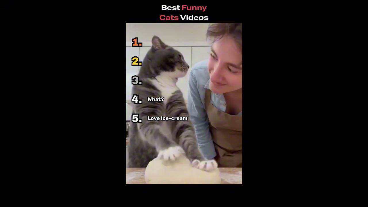 TRY NOT TO REACT SHORTS COMPILATION😂😂