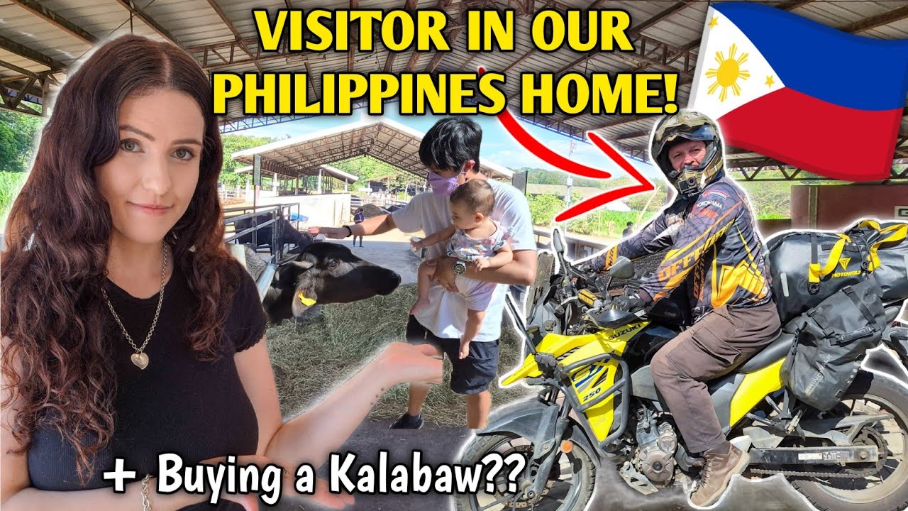 ОСОБЫЙ ИНОСТРАННЫЙ ГОСТЬ В НАШЕЙ ПРОВИНЦИИ! Экскурсия в центр разведения буйволов на Филиппинах и...