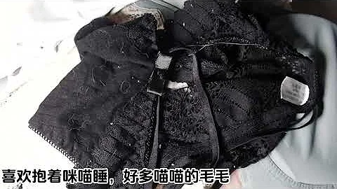 扒拉合租女友的内衣袋 - 天天要闻