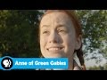 Anne of Green Gables Character Insights