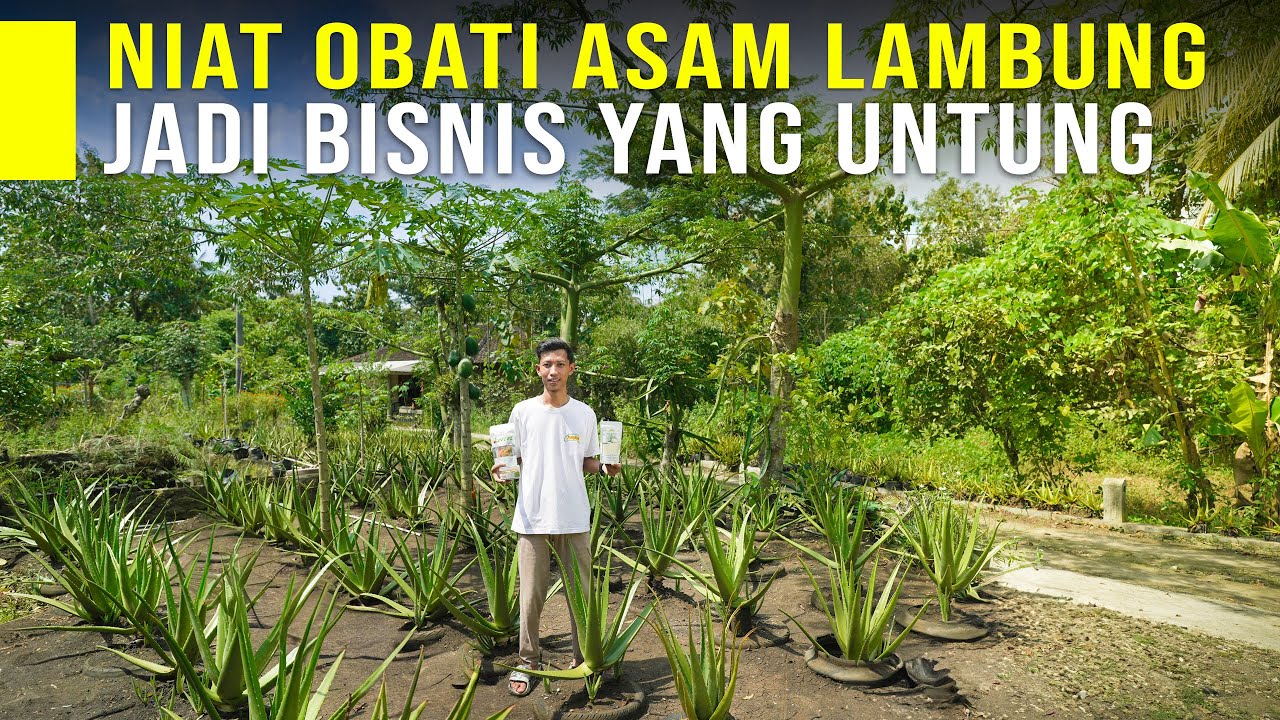 Lulusan SMK Jadi Juragan Lidah Buaya Dengan Berbagai Macam Olahan Kaya Manfaat