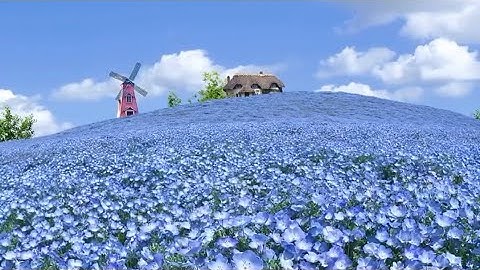 دعاء لراحة البال #اكسبلور #استغفار #اذكار #اسلاميات #ترند #رزق #دعاء #explore #foryou #قرآن #لايك