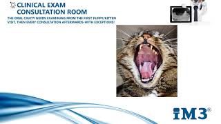 Vet Dentistry for Vet Nurses - 1 - Oral Clinical Examination screenshot 5