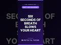 How a 6‑Second Breath Can Drop Your Heart Rate
